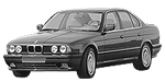 BMW E34 P0439 Fault Code